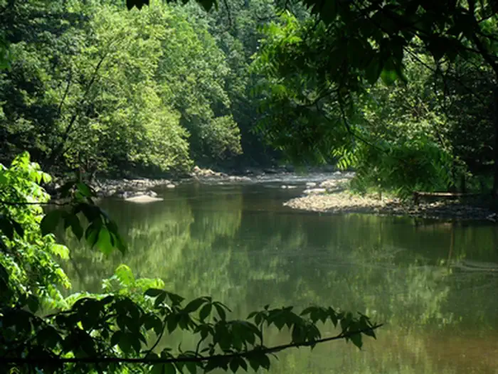 Bluestone National Scenic River — Bluestone River