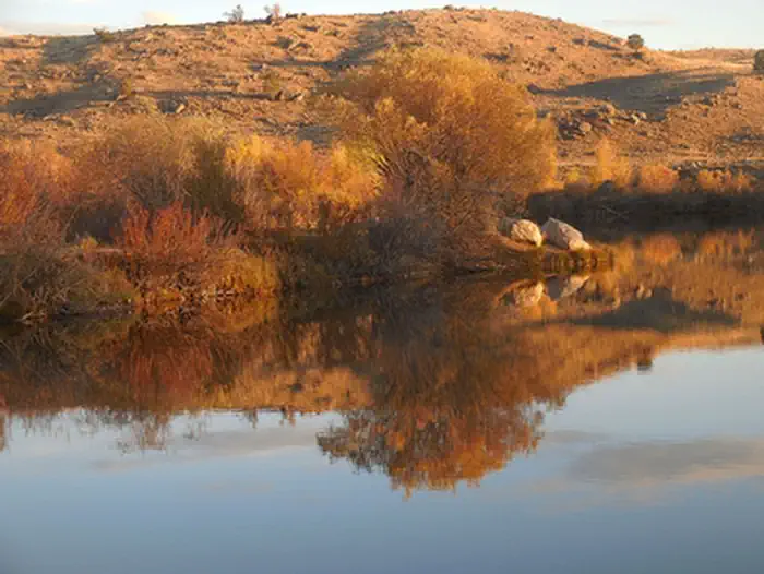 CCC Ponds/Pinedale Pathway