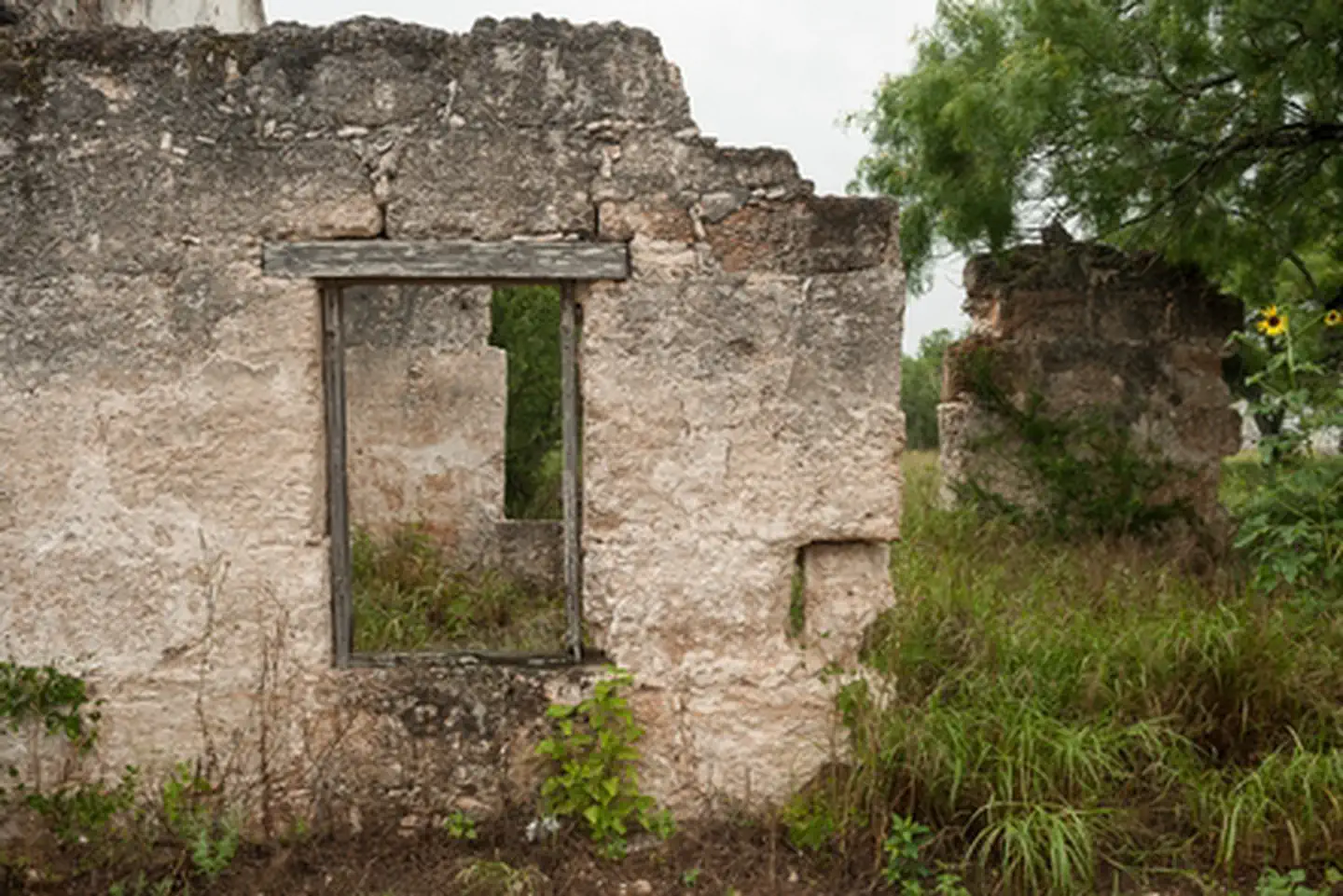El Camino Real de los Tejas National Historic Trail — Rancho los Ojuelos, Webb County, Texas