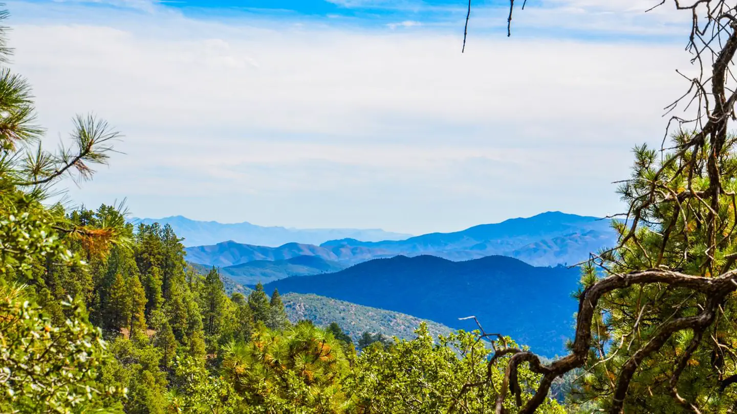 Prescott National Forest