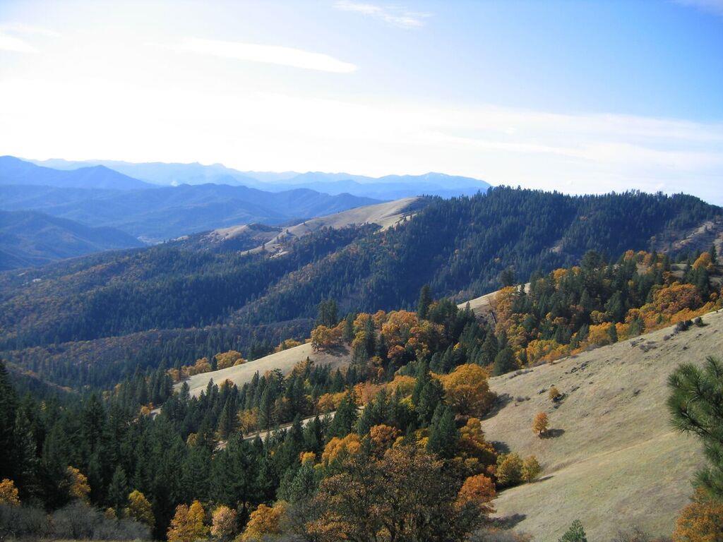 Jack-Ash Trail