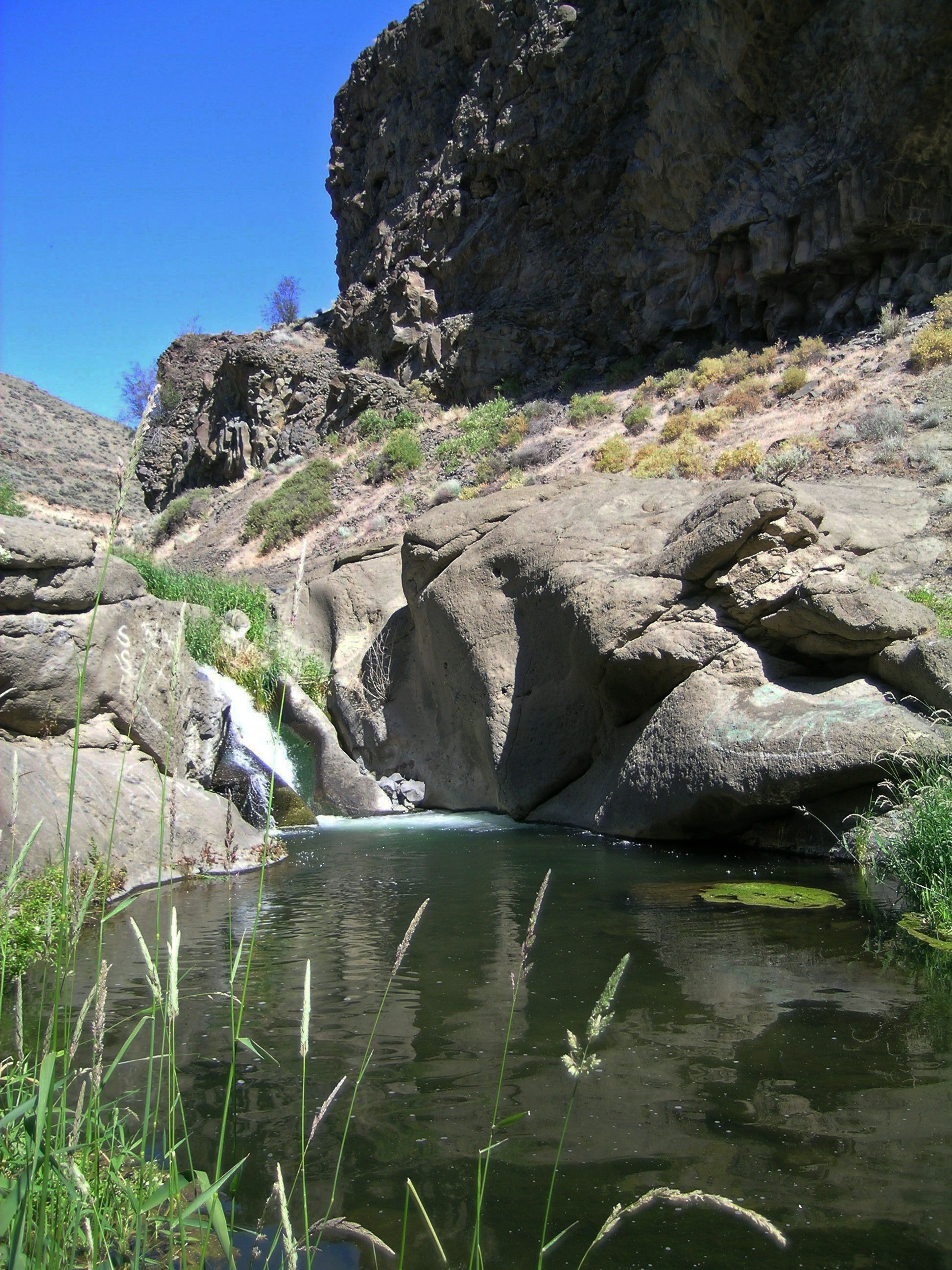 Douglas Creek