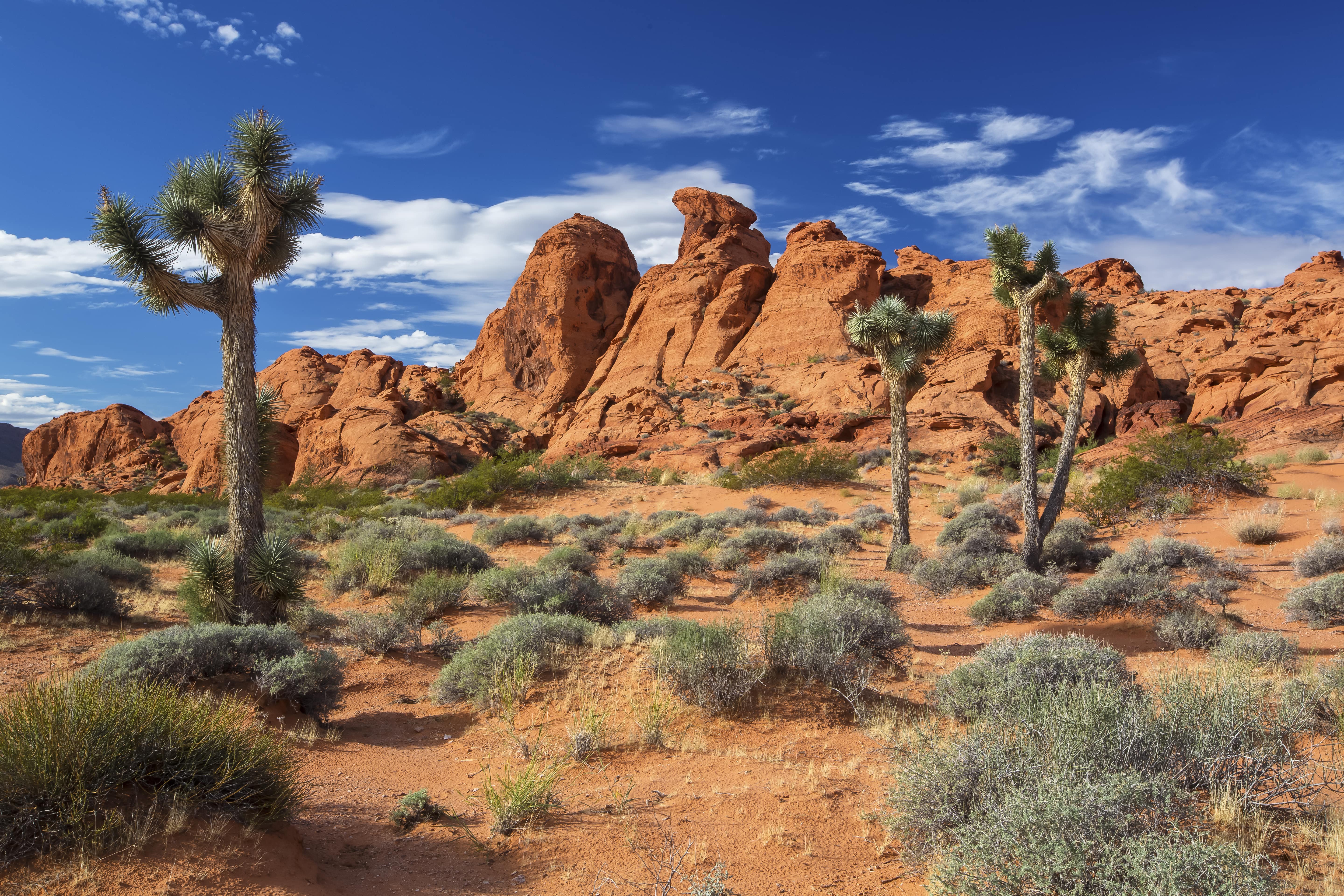 Gold Butte National Monument