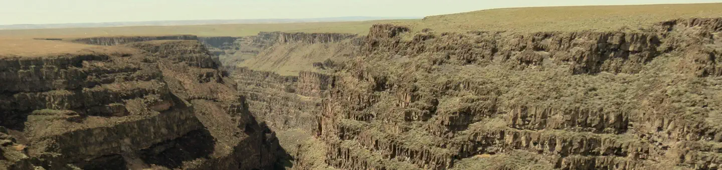Bruneau Canyon Overlook