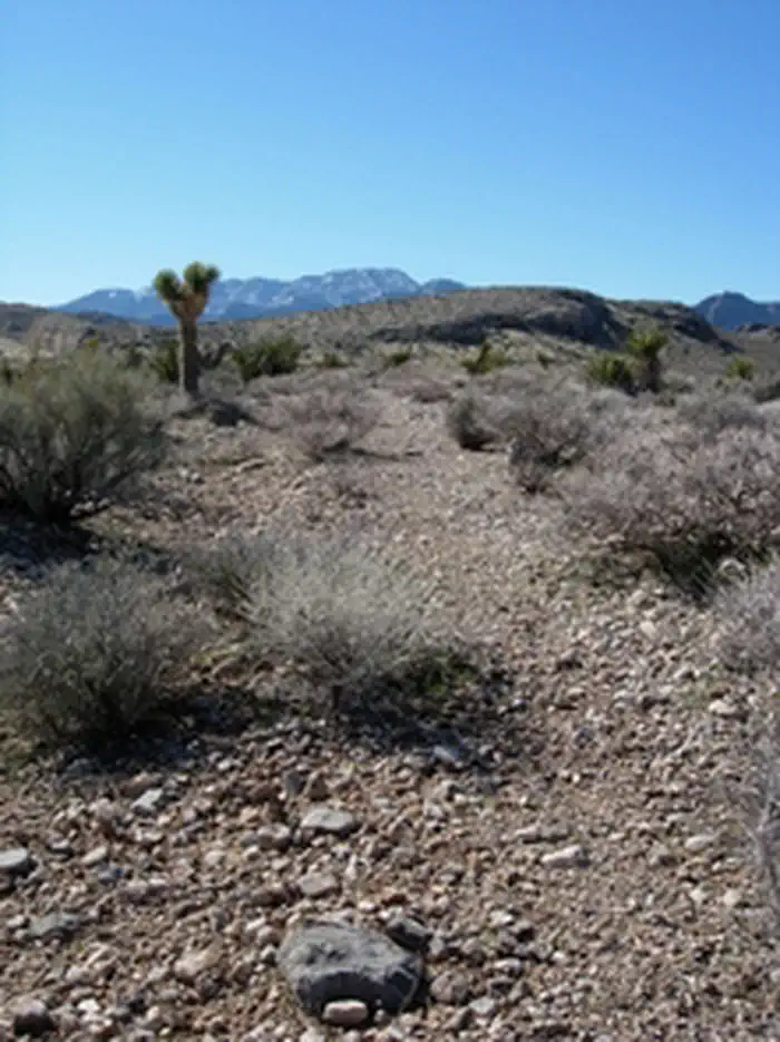 Old Spanish National Historic Trail | NPS — Old Spanish Trail segment, Nevada