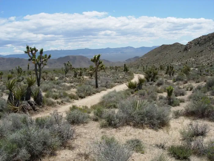 Old Spanish National Historic Trail | NPS