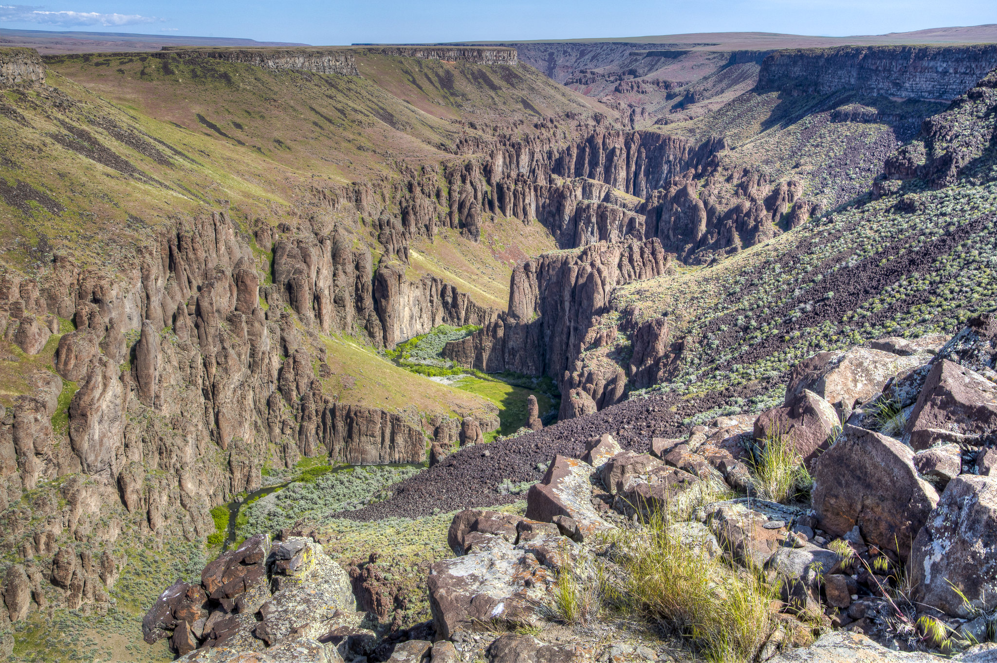 Big Jacks Creek Wild and Scenic River
