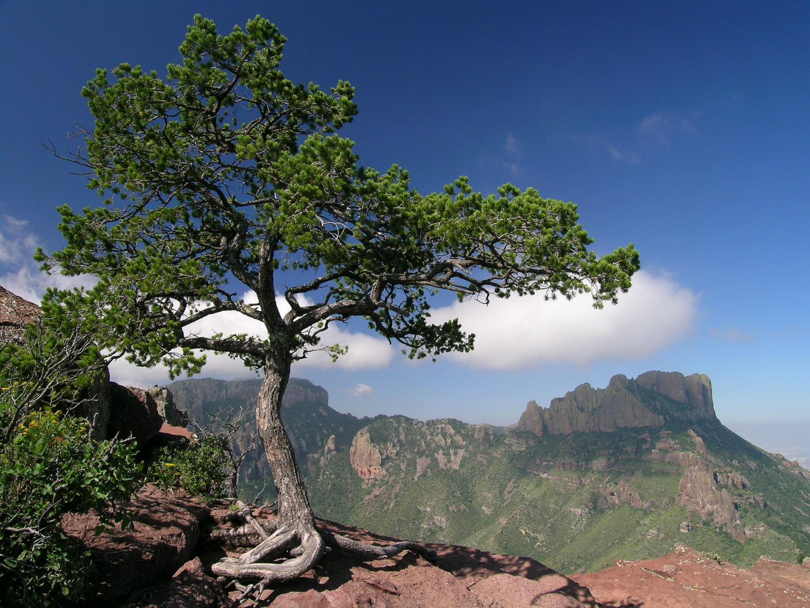 Big Bend National Park — Top of the Lost Mine Trail