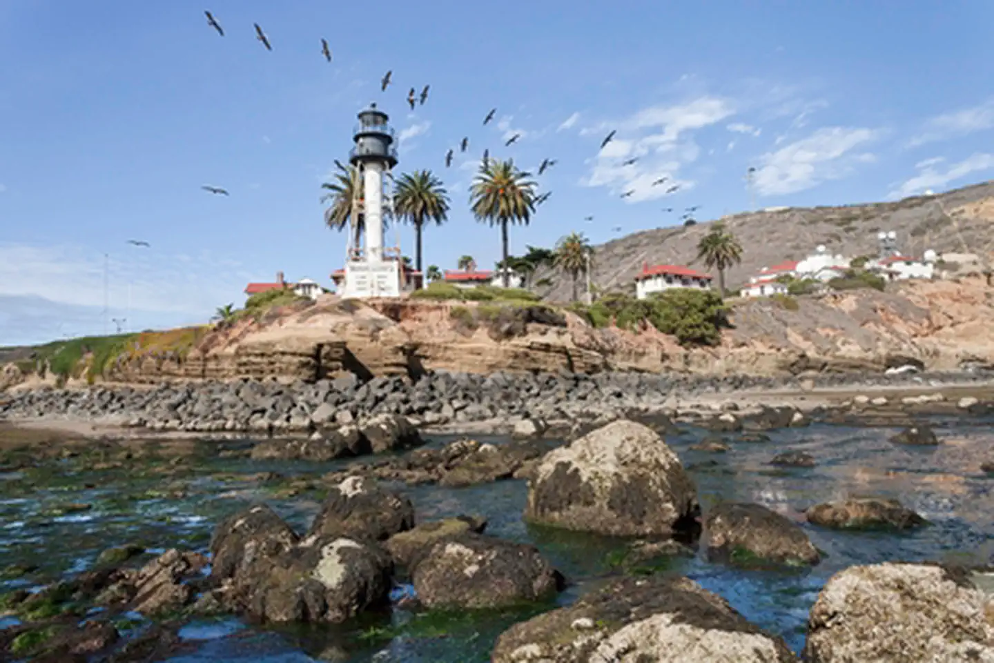 Cabrillo National Monument — Pelican Point