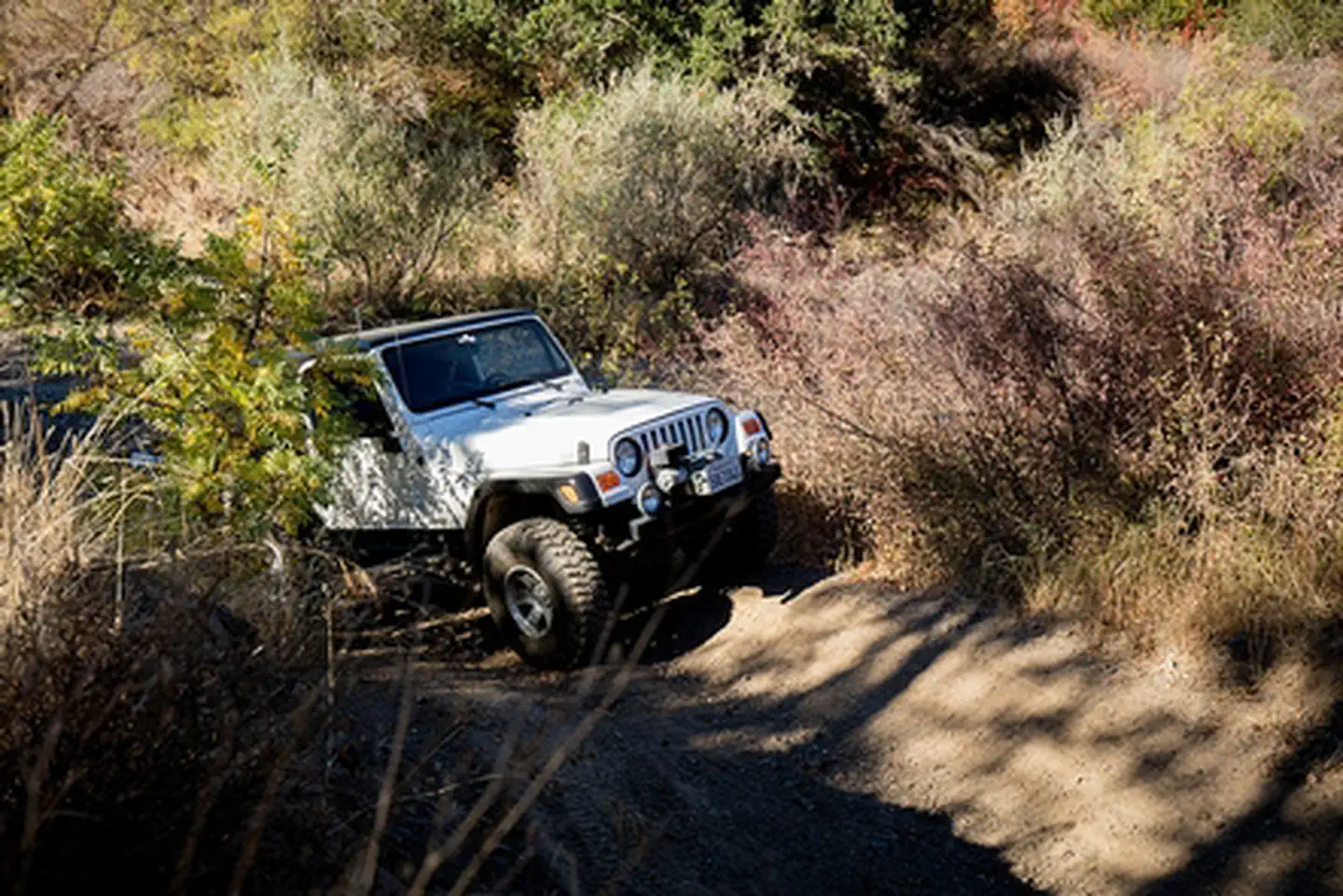 Cow Mountain Recreation Management Area