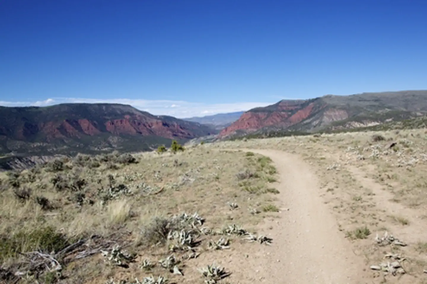 Hardscrabble - East Eagle