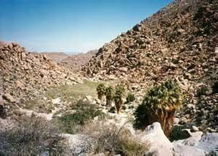 Jacumba Wilderness — Jacumba Wilderness