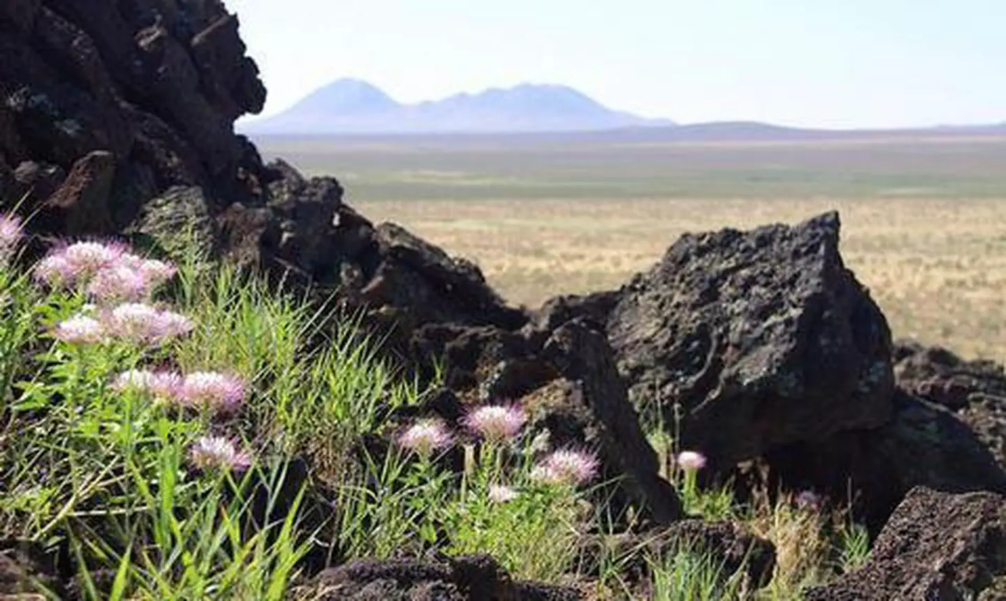 Aden Lava Flow Wilderness Study Area