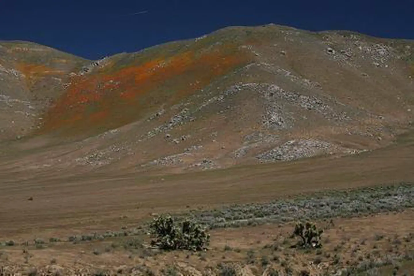 Kiavah Wilderness