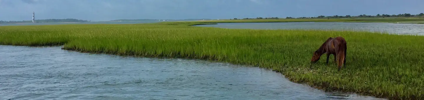 Cape Lookout National Seashore