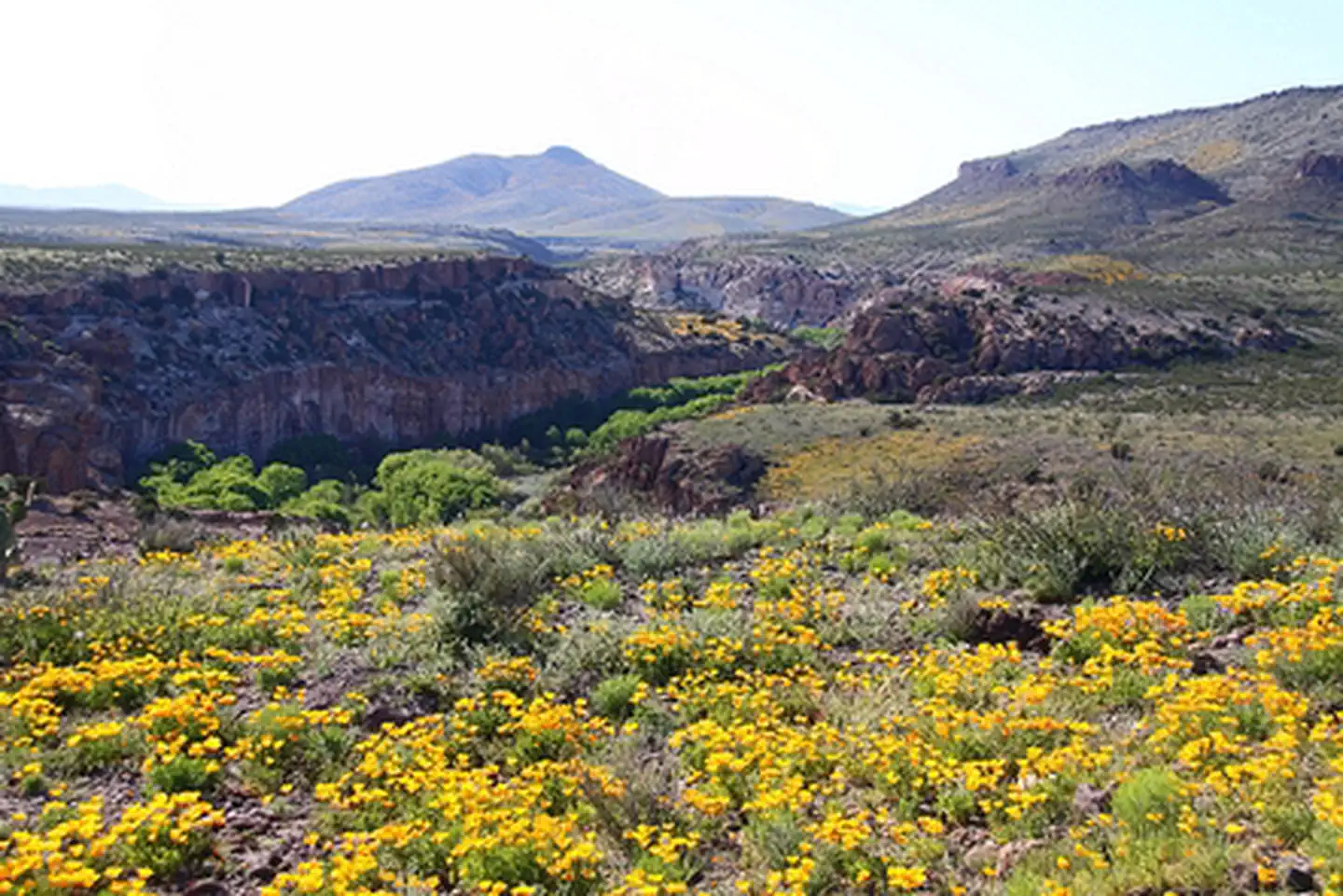 Gila Lower Box Canyon
