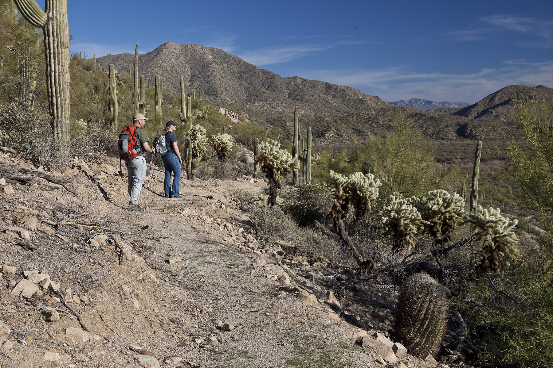 Arizona National Scenic Trail
