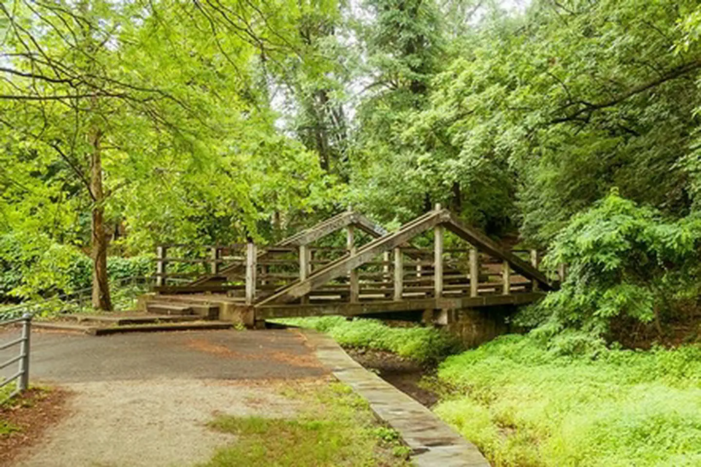 Paterson Great Falls National Historical Park — Green Day at the Raceways!
