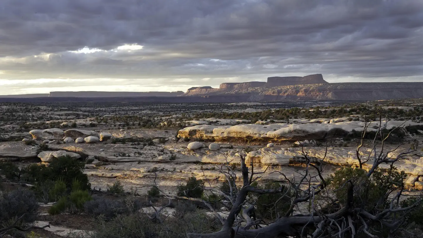 Cedar Mesa SRMA