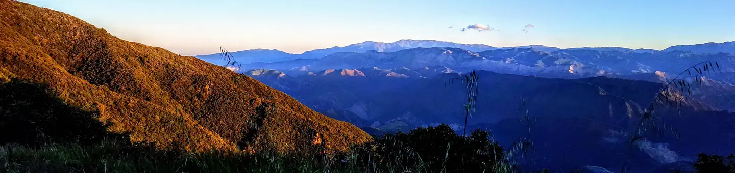 Los Padres National Forest