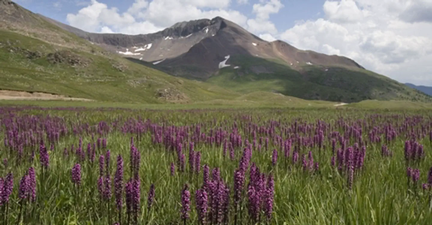 Alpine Loop — Engineering Pass in Alpine Loop