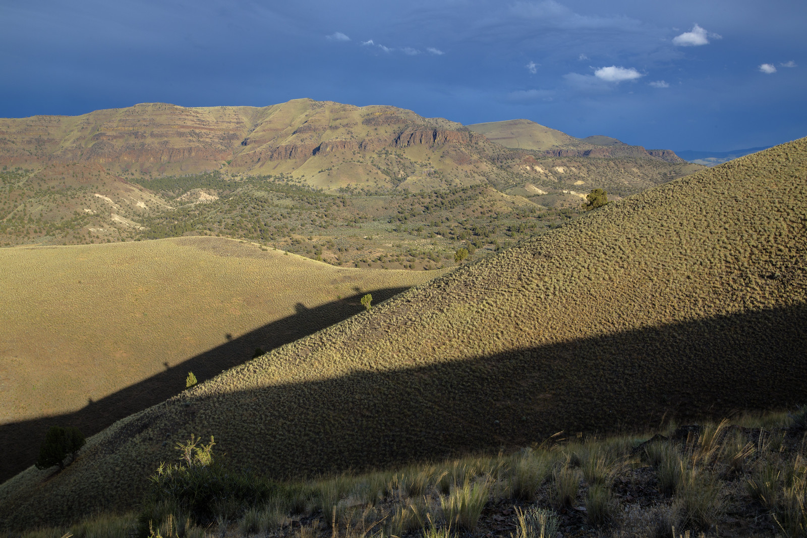 Sutton Mountain and Pat's Cabin Wilderness Study Areas