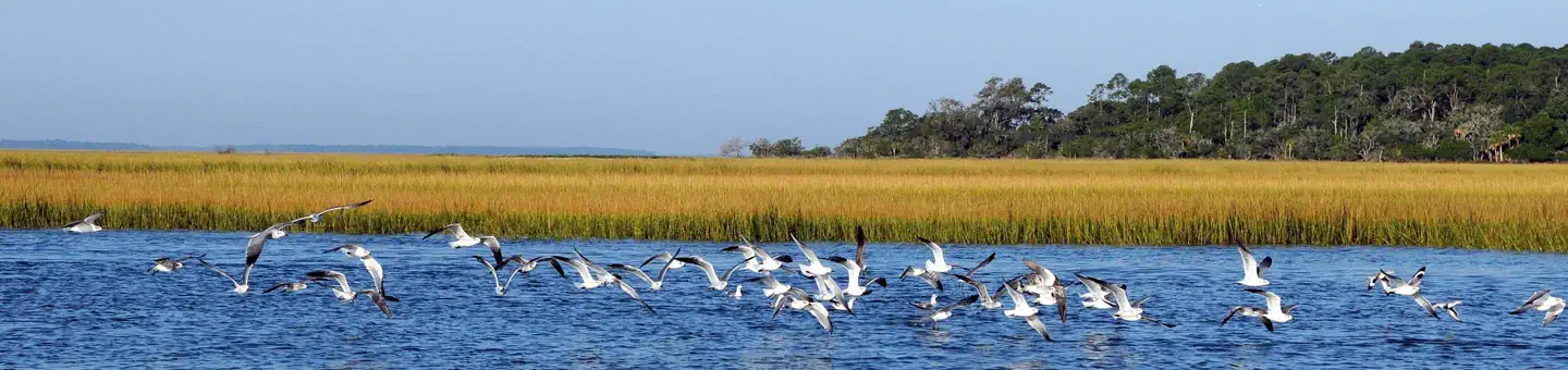 Wassaw National Wildlife Refuge