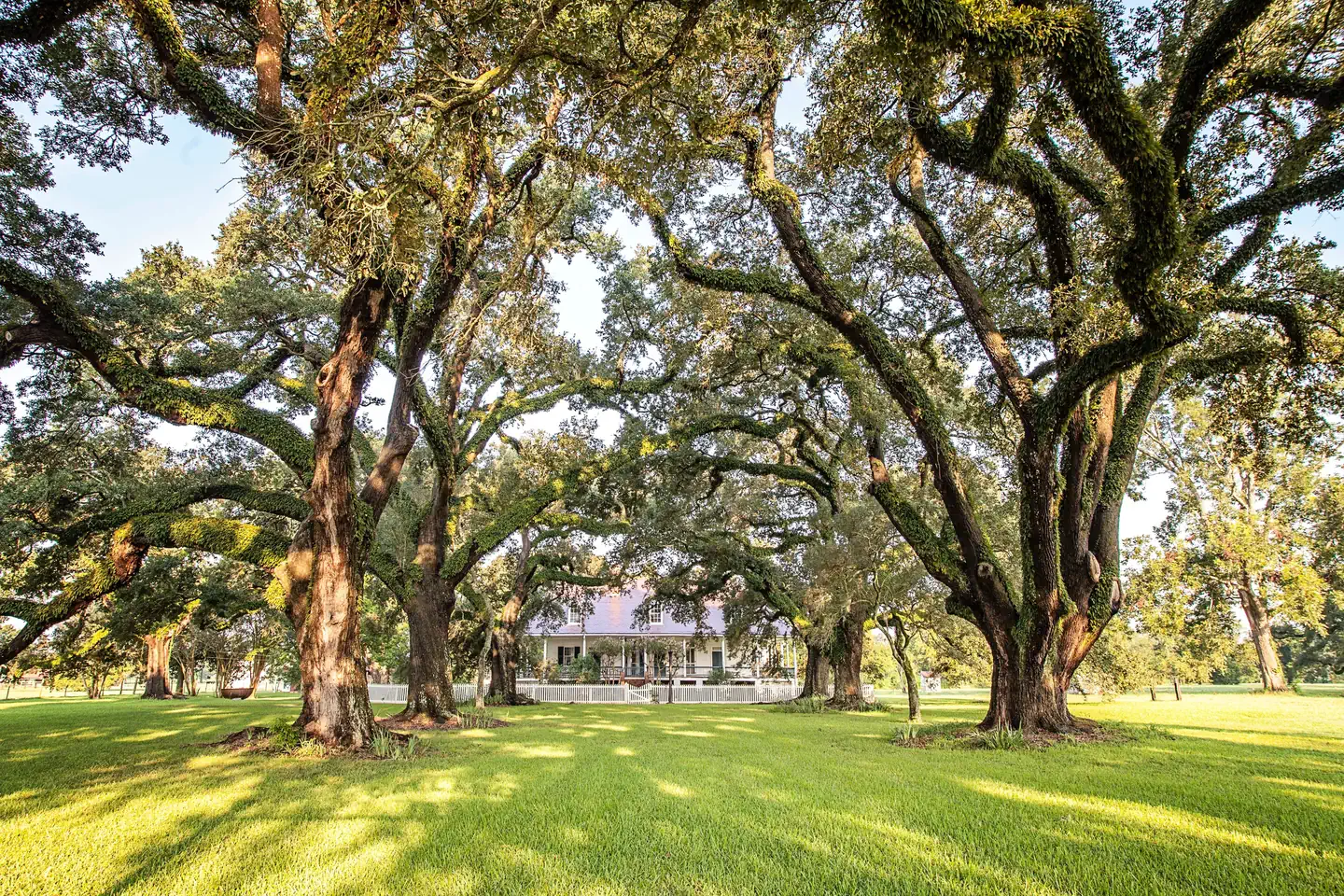 Cane River Creole National Historical Park — Oak Allee