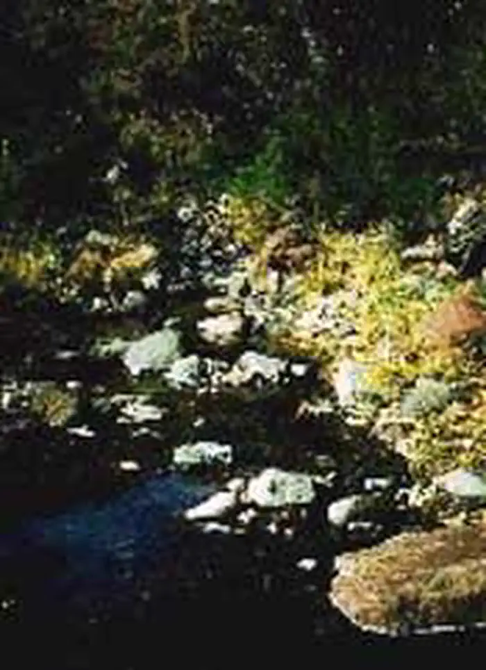 Fishhooks Wilderness