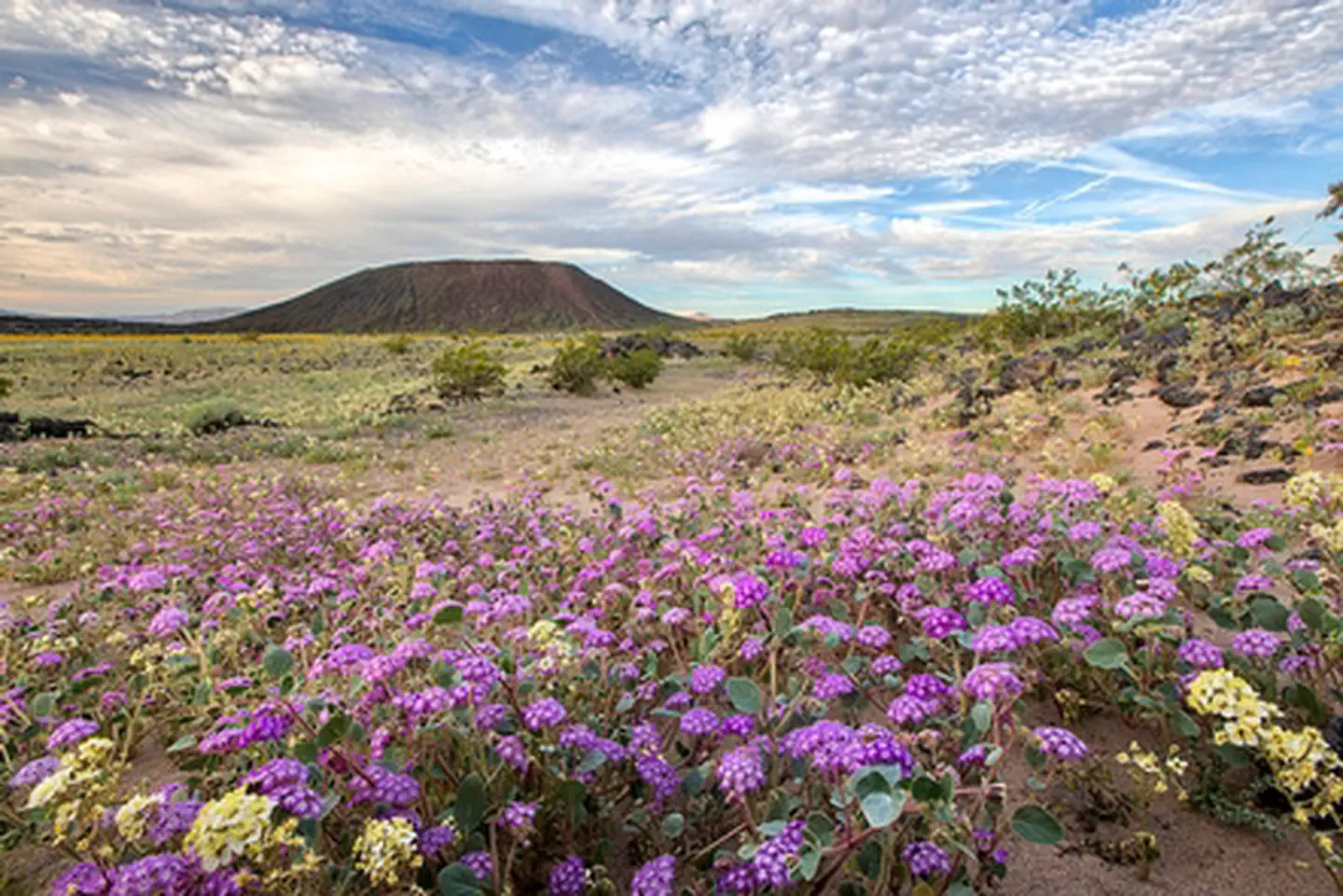 Amboy Crater National Natural Landmark