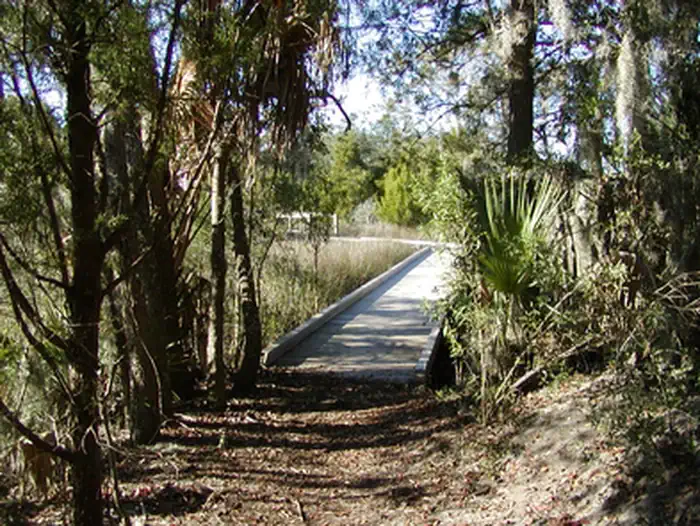 Charles Pinckney National Historic Site — Boardwalk and Marsh