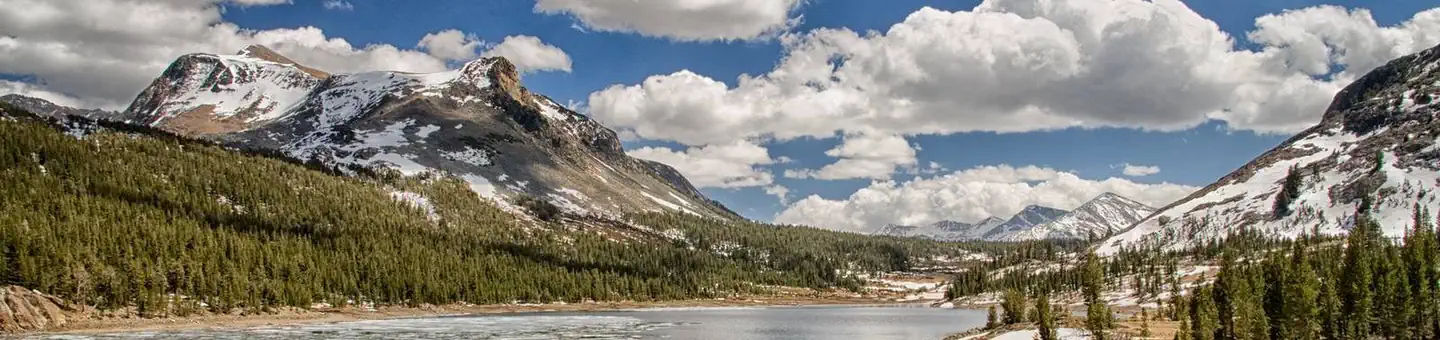 Inyo National Forest