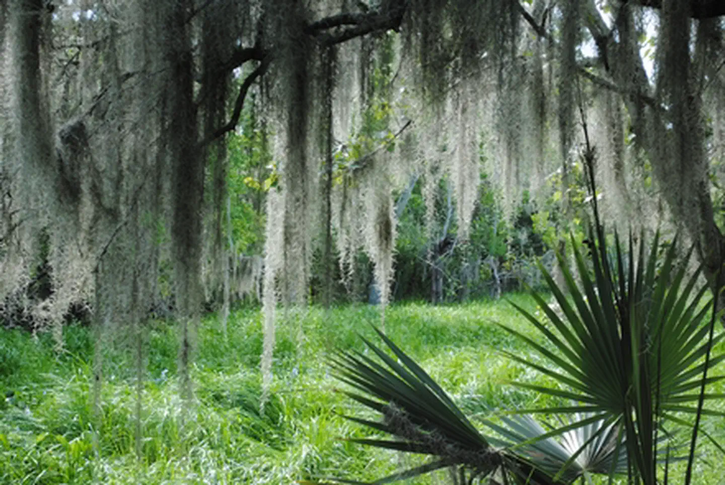 Jean Lafitte National Historical Park and Preserve — Barataria Preserve of Jean Lafitte National Historical Park and Preserve