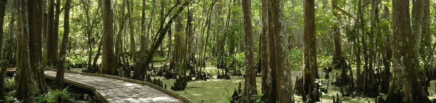 Jean Lafitte National Historical Park and Preserve — Jean Lafitte National Historical Park and Preserve