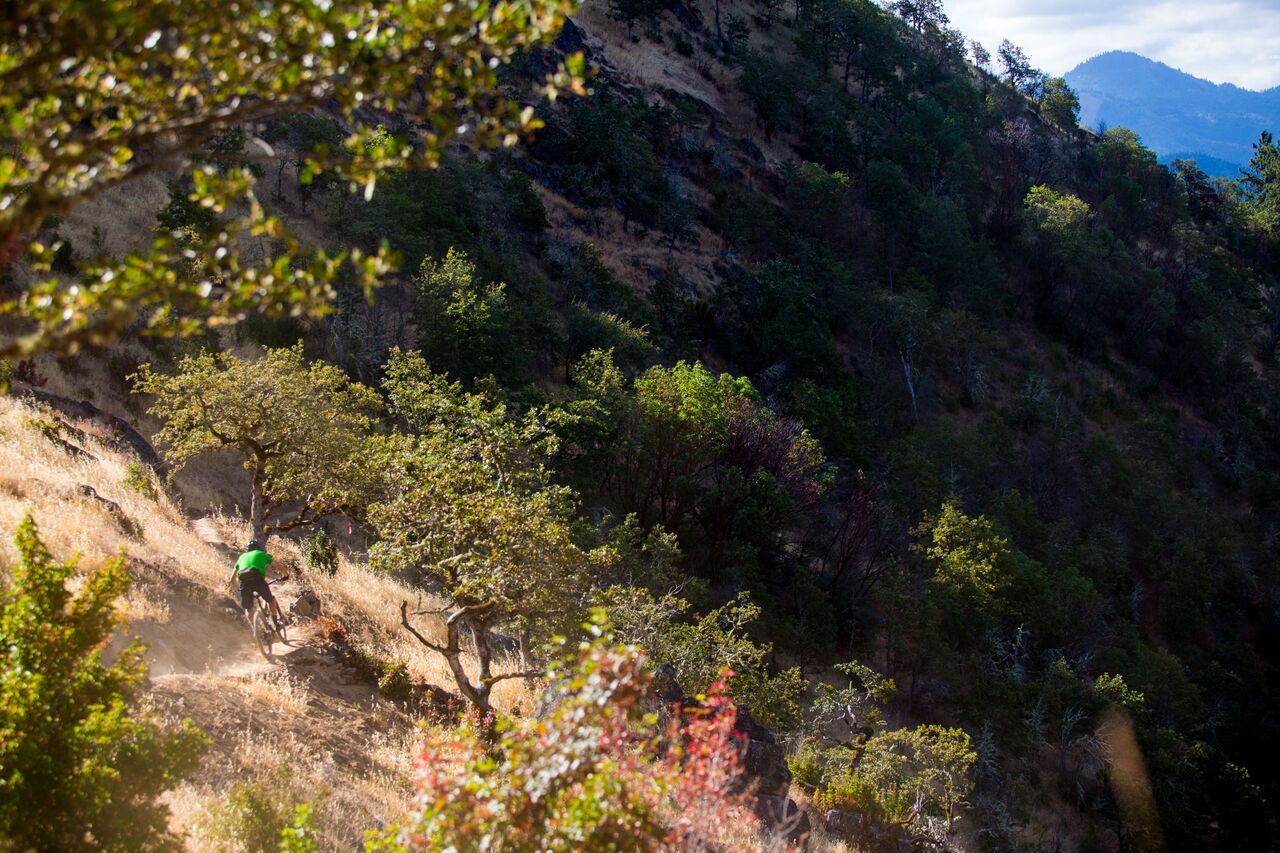 Mountain of the Rogue Trail System