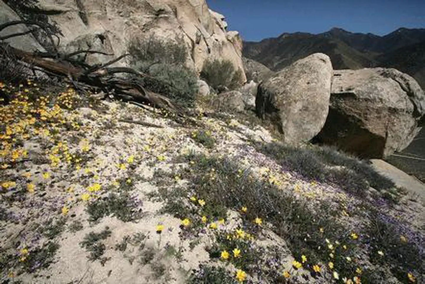 Chimney Peak Recreation Area