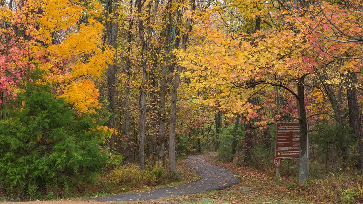 Crab Orchard National Wildlife Refuge