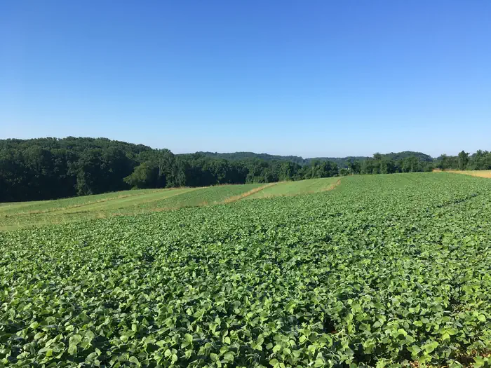 First State National Monument — Brandywine Valley