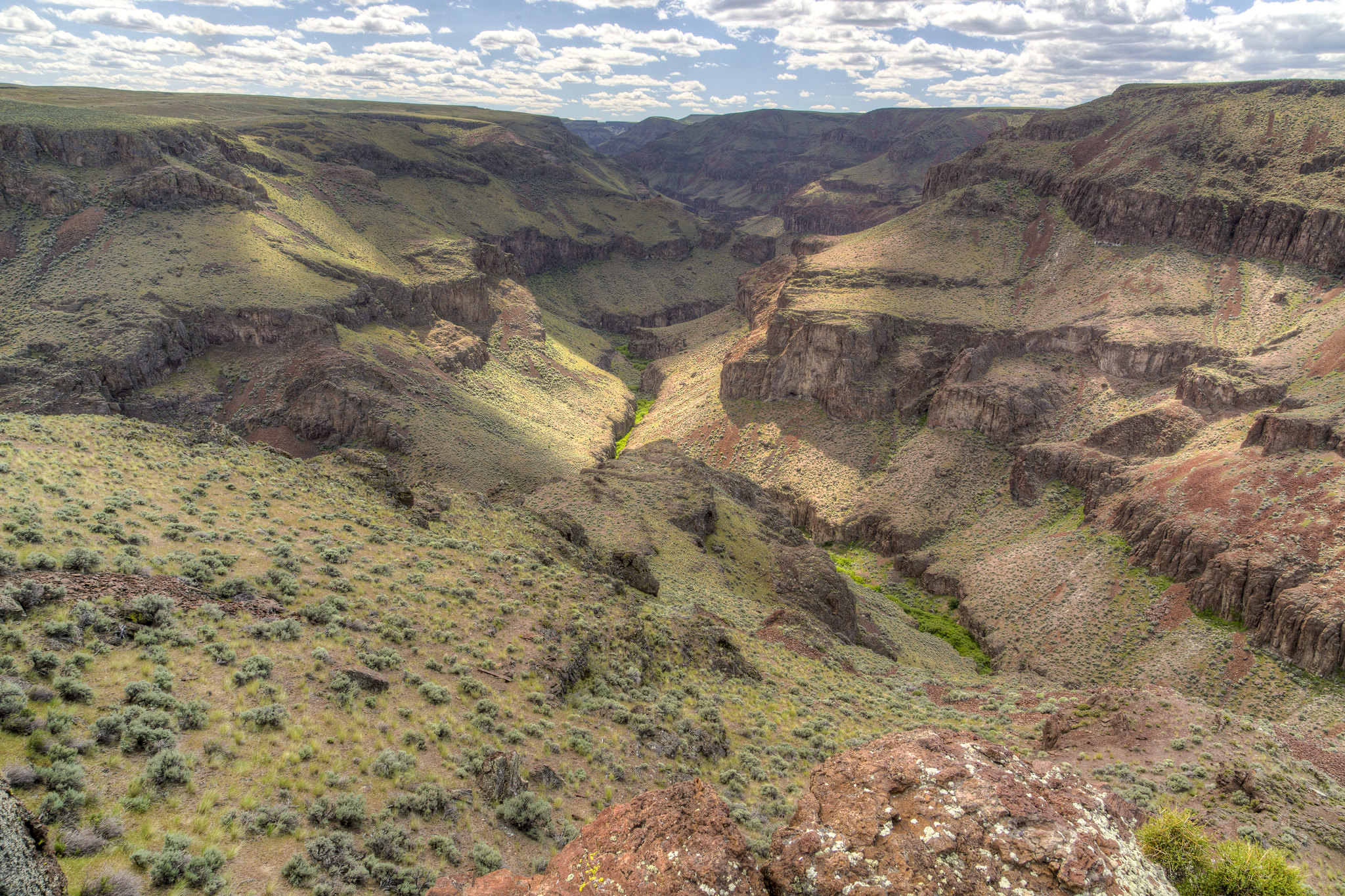 Little Jacks Creek Wilderness Area