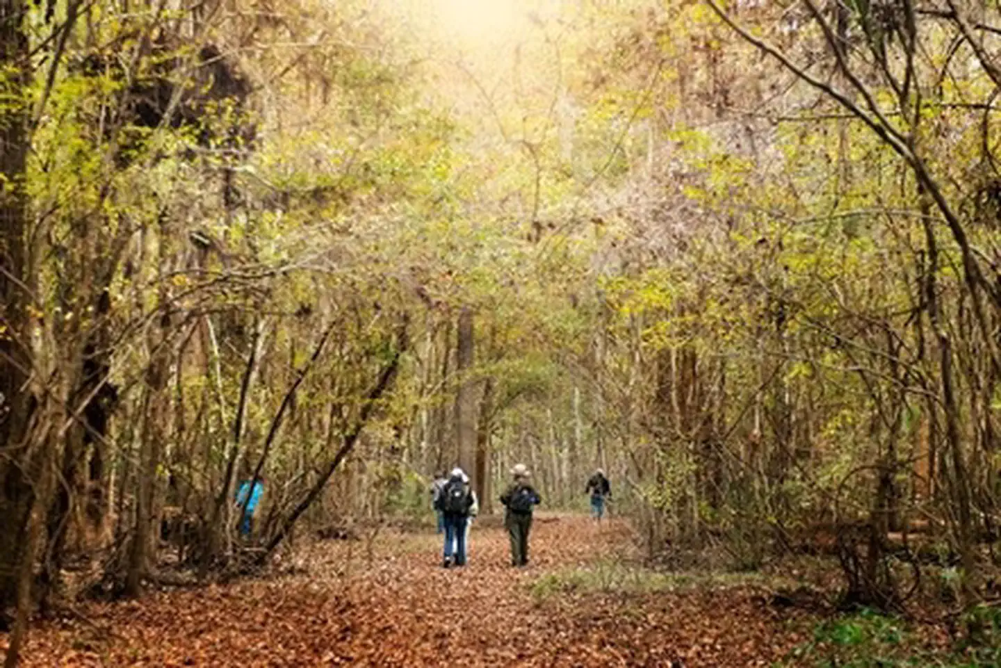 South Carolina National Heritage Corridor