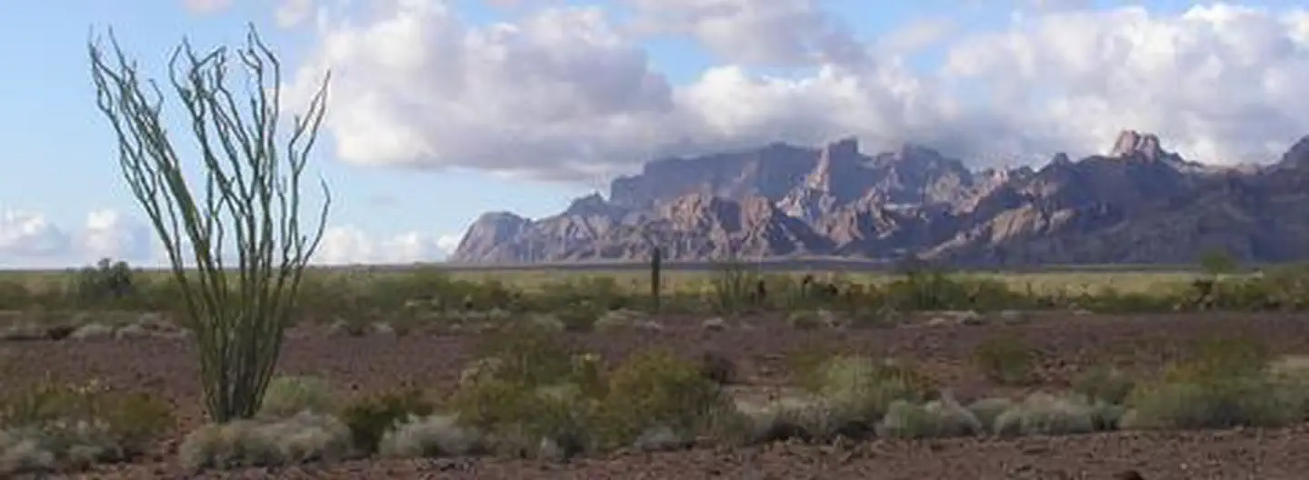 Kofa National Wildlife Refuge