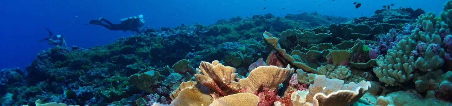 National Marine Sanctuary of American Samoa