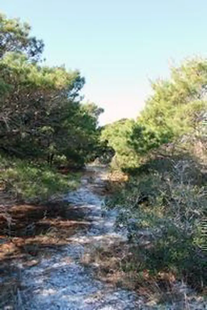 Jupiter Inlet Lighthouse Outstanding Natural Area — Hiking at the Jupiter Inlet Lighthouse Outstanding Natural Area