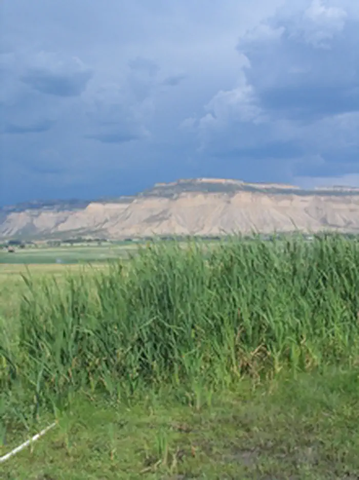 Yucca House National Monument — Yucca House Spring