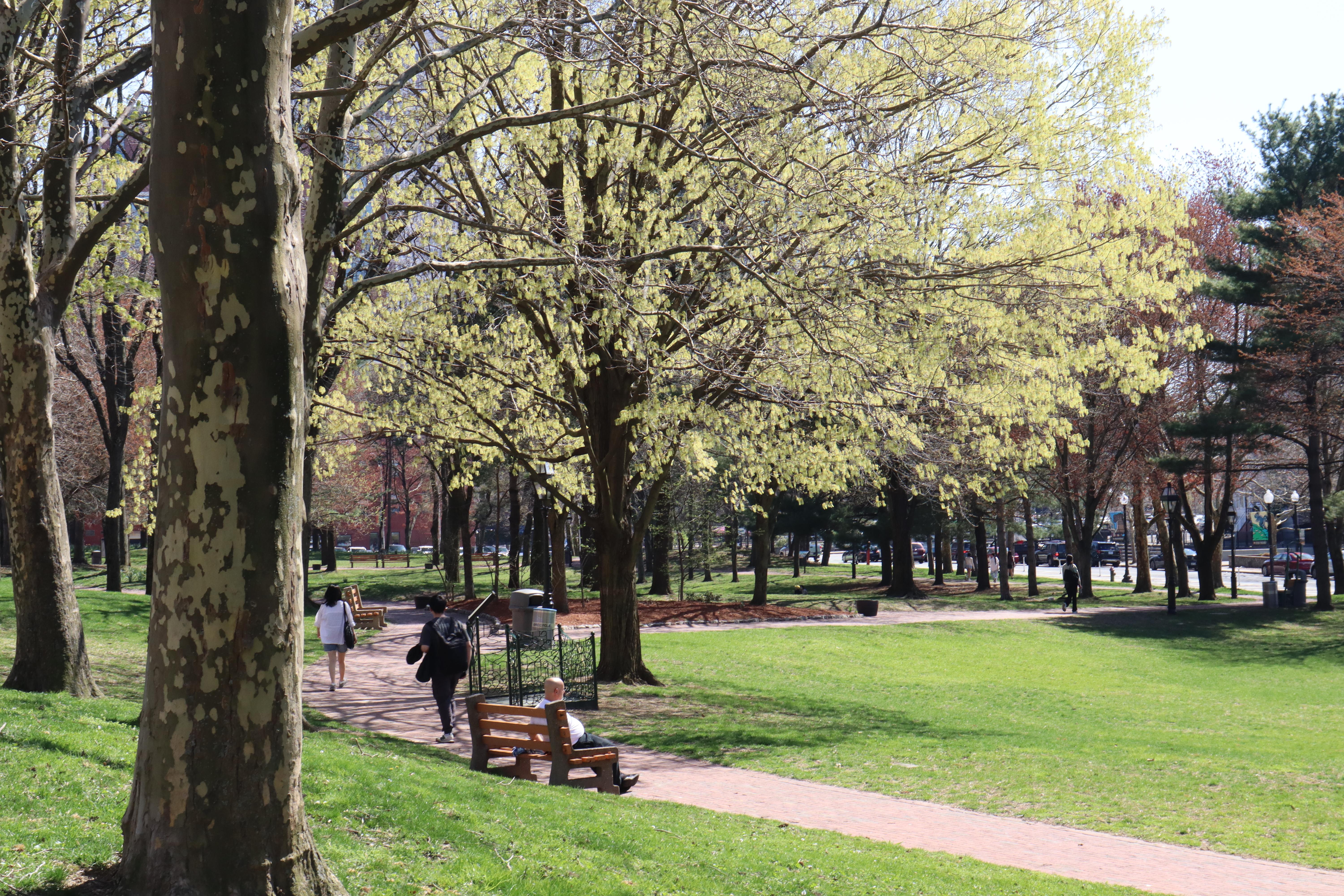 Roger Williams National Memorial — National Memorial Grounds