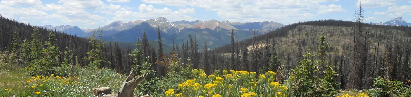 Rio Grande National Forest
