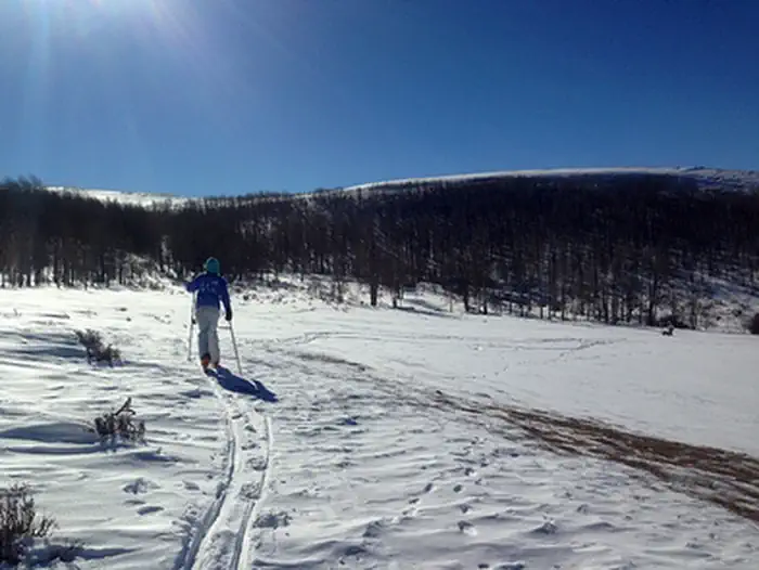 Viva Naughton Trail