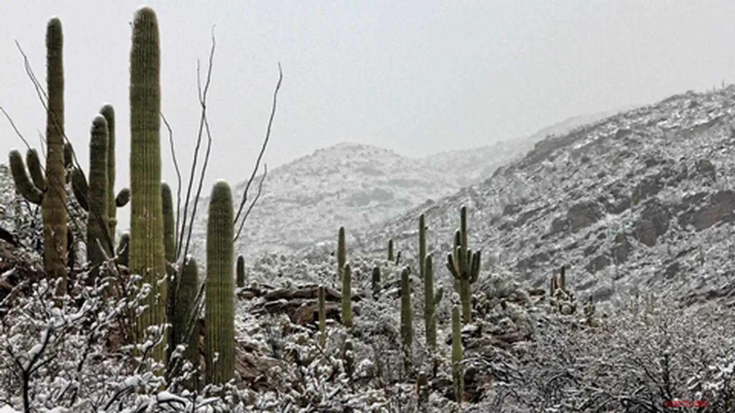Saguaro National Park — Weather at Saguaro National Park
