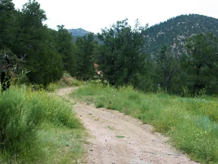 Texas Creek