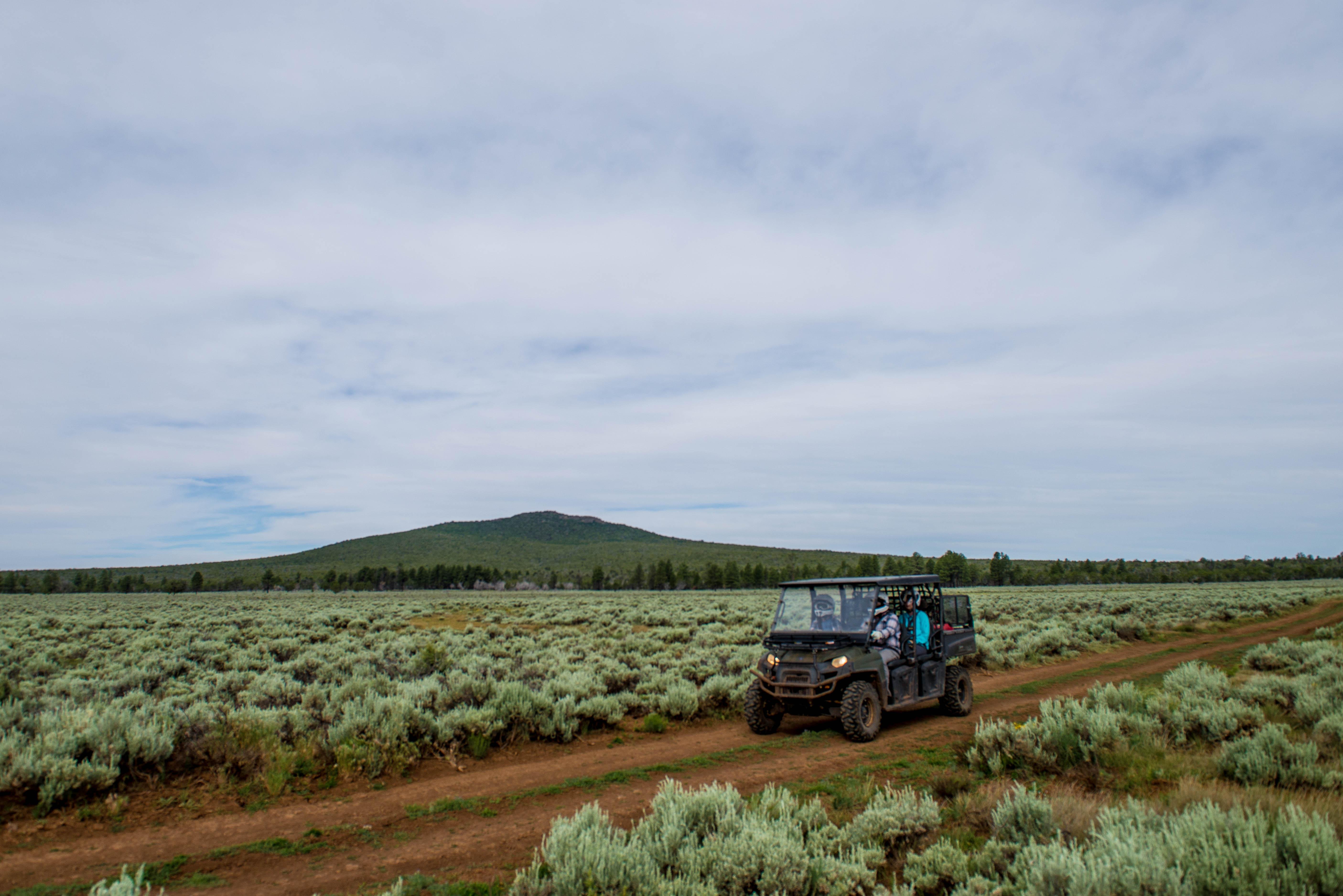 Grand Canyon-Parashant National Monument — Driving the sage flat